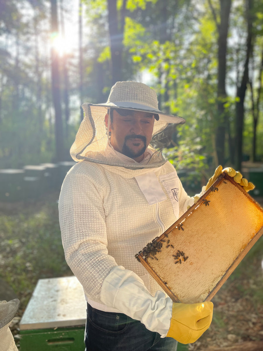 Quality in beekeeping and honey extraction